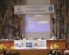 <b>Название: </b>IMG_1956, <b>Добавил:<b> Administrator<br>Размеры: 448x299, 67.4 Кб