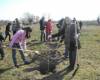 <b>Название: </b>DSCF0021, <b>Добавил:<b> Administrator<br>Размеры: 448x336, 75.1 Кб