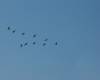 <b>Название: </b>DSCF0028, <b>Добавил:<b> Administrator<br>Размеры: 448x336, 42.4 Кб