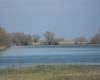 <b>Название: </b>DSCF0026, <b>Добавил:<b> Administrator<br>Размеры: 448x336, 73.0 Кб