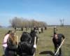 <b>Название: </b>DSCF0025, <b>Добавил:<b> Administrator<br>Размеры: 448x336, 73.5 Кб