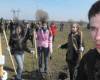 <b>Название: </b>DSCF0011, <b>Добавил:<b> Administrator<br>Размеры: 336x448, 85.2 Кб