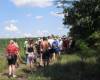<b>Название: </b>SDC13954, <b>Добавил:<b> Administrator<br>Размеры: 448x252, 90.5 Кб